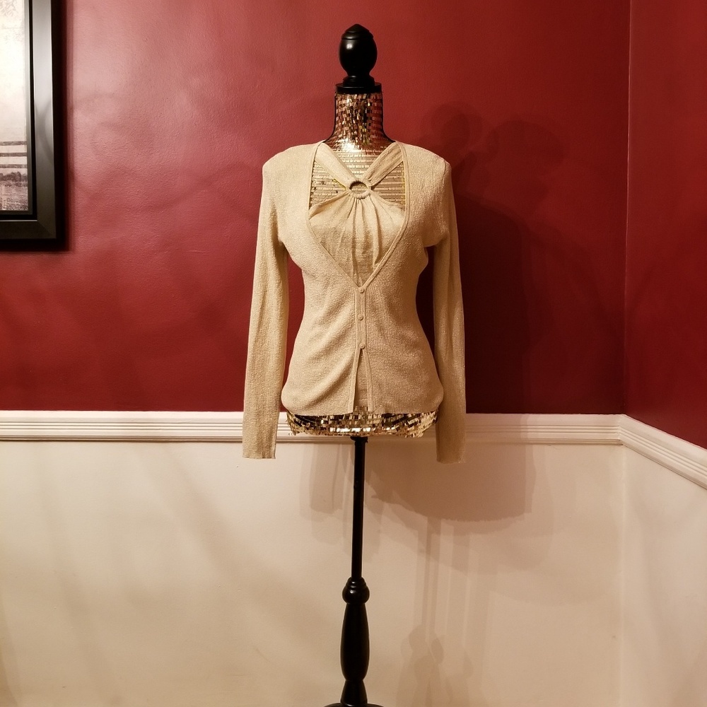 August Silk Metallic Knit Top
